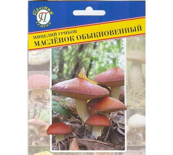 Масленок обыкновенный Престиж-Семена 00018950