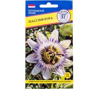Пассифлора Престиж-Семена 00030369