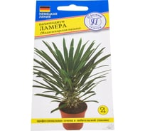 Пахиподиум Ламера Престиж-Семена 00034110