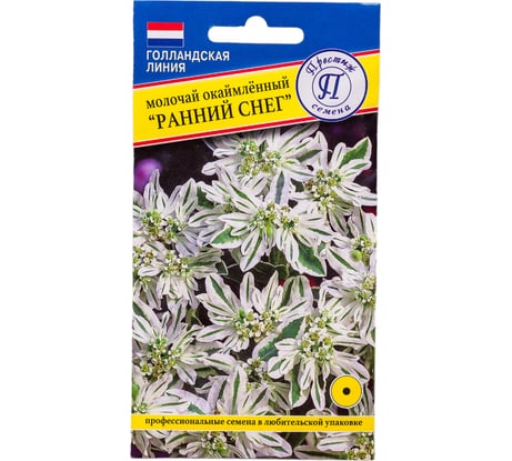 Молочай окаймленный Ранний снег Престиж-Семена 00036907