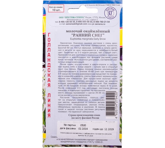 Молочай окаймленный Ранний снег Престиж-Семена 00036907