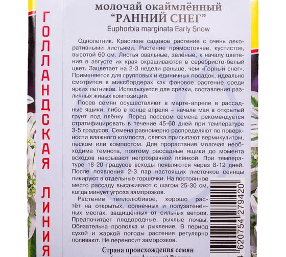 Молочай окаймленный Ранний снег Престиж-Семена 00036907