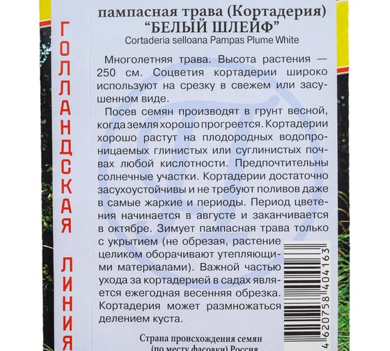 Пампасная трава Белый шлейф Престиж-Семена 00019865