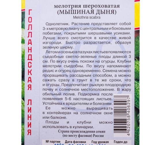 Мелотрия шероховатая Престиж-Семена 00023358