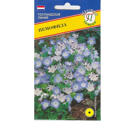 Немофилла Престиж-Семена 00017901 1