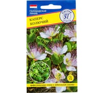 Каперс колючий Престиж-Семена 00032169