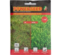 Семена для быстрого ремонта газона GREEN MEADOW 30 г 4607160332758