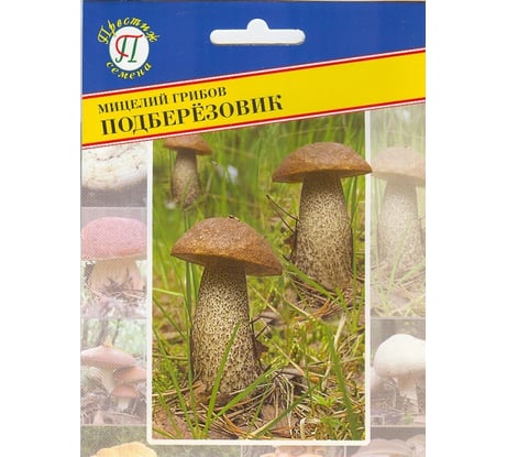 Подберёзовик Престиж-Семена 00018952