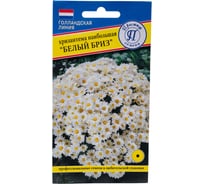 Хризантема наибольшая Престиж-Семена Белый бриз 00017897