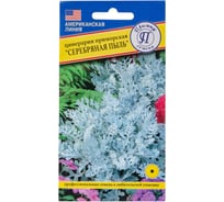 Цинерария Престиж-Семена Серебряная пыль 00003959