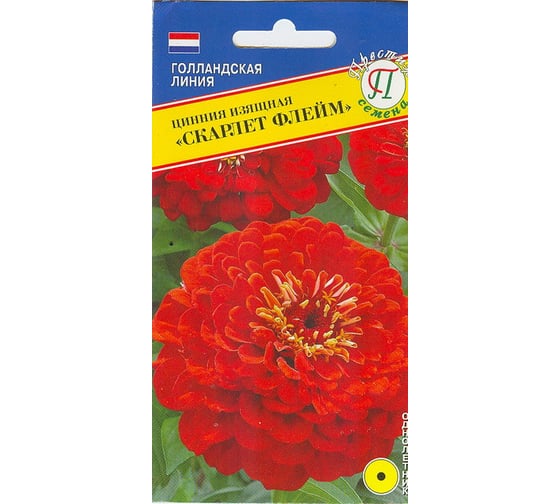 Цинния изящная Престиж-Семена Скарлет флейм 00015563 1