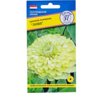 Цинния изящная Престиж-Семена Энви 00015561