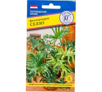 Филодендрон Престиж-Семена Селло 00034109