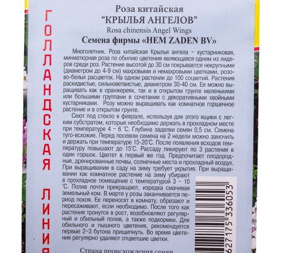 Роза китайская Престиж-Семена Крылья Ангелов 00037207