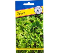 Салат Престиж-Семена Орфей 00030190