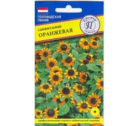 Санвиталия Престиж-Семена Оранжевая 00029061