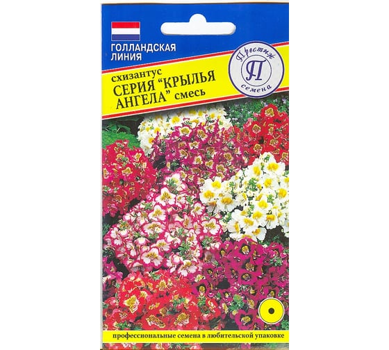 Схизантус Престиж-Семена Крылья Ангела 00027015 1