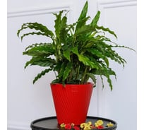 Горшок с дренажной системой Santino Луи VipSet 1,2л, красный AML-1,2-10