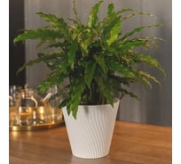 Горшок с дренажной системой Santino Луи VipSet 2,7л, белый AML-2,7-01