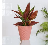 Горшок с дренажной системой Santino Луи VipSet 2,7л, пудра AML-2,7-06