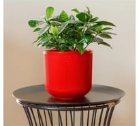 Горшок с дренажной системой Santino Росси VipSet 1.9л, красный AMR-1,9-10