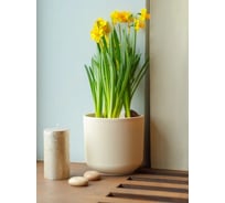 Горшок с дренажной системой Santino Росси VipSet 3.1л, крем AMR-3,1-02