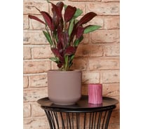 Горшок с дренажной системой Santino Росси VipSet 3.1л, инжир AMR-3,1-05