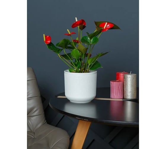 Горшок с дренажной системой Santino Росси VipSet 4.4л, белый AMR-4,4-01 1