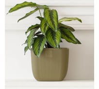 Горшок с дренажной системой Santino Фабио VipSet 4.7 л, оливка AMF-4,7-14