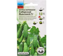 Огурец Агросидстрейд ПАТРИОТ Сибирский Вьюговей F1 10 шт 129165