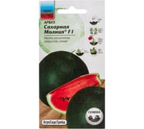 Арбуз Агросидстрейд Сахарная Молния F1 6 шт ПАТРИОТ 129111