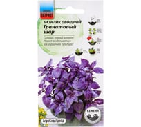 Базилик Агросидстрейд Гранатовый Шар - овощной 0,25 г ПАТРИОТ 129248