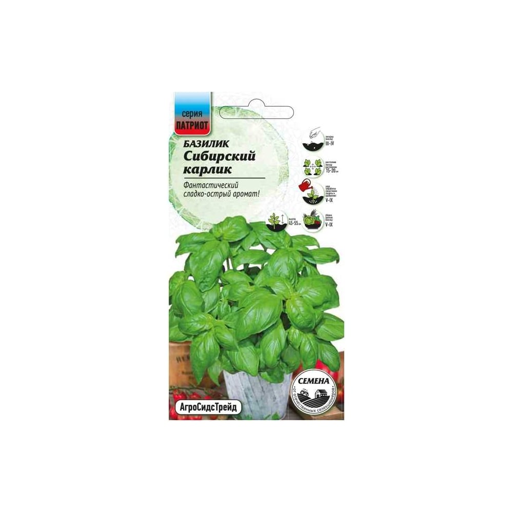 Базилик Агросидстрейд Сибирский карлик 0,25 г ПАТРИОТ 128646 - выгодная ...