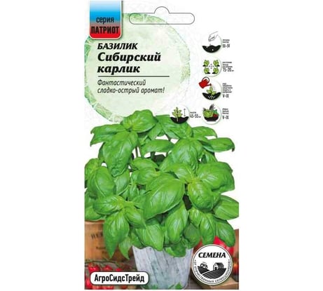Базилик Агросидстрейд Сибирский карлик 0,25 г ПАТРИОТ 128646