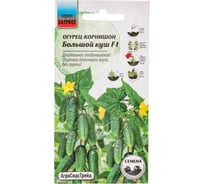 Огурец Агросидстрейд Патриот Большой куш - корнишон F1 10 шт 129144