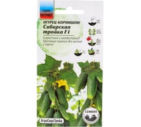 Огурец Агросидстрейд Патриот Сибирская тройка - корнишон F1 5 шт 129164