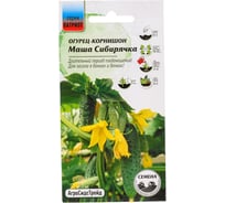 Огурец Агросидстрейд Патриот Маша Сибирячка - корнишон F1 10 шт 129154