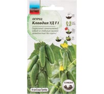 Огурец Агросидстрейд Патриот Клавдия УД F1 10 шт 128662