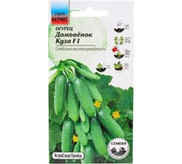 Огурец Агросидстрейд Патриот Домовёнок Кузя F1 10 шт 129148