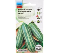 Кабачок-цуккини Агросидстрейд Египетская сила 10 шт ПАТРИОТ 129127