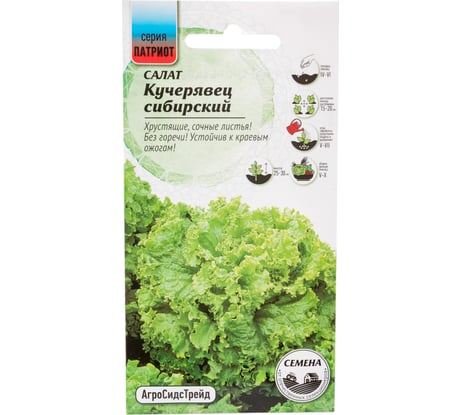Салат Агросидстрейд Кучерявец Сибирский 0,3 г ПАТРИОТ 129182