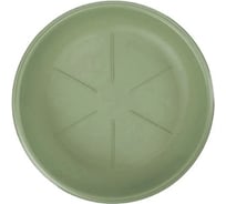 Поддон Bama Spa 26104 d24 см, зеленый 070950