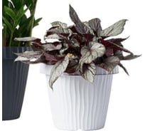 Кашпо Bama Spa 31410 ONDA d25 см, h21 см, 5 л, белый 070939