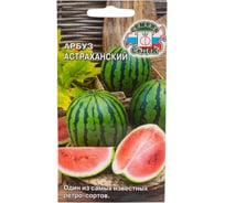 Арбуз СеДек Астраханский (ср.ранний,ОГ, плод 8-16кг, кора тонкая, мякоть яр-красн, зернистая, оч.сладкий, сахар). Евро, 1 I0000015832
