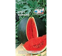 Арбуз СеДек Коралл ( ультраранний, ОГ/ПУ,плод 2-3 кг, кора тонкая, мякоть красная, сладкая, сочная, зернистая, для употр. в св.виде, засола, пригот. арб. меда) Евро, 1 16435