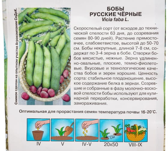 Бобы СеДек Русские чёрные (бобы 7-8 см, зерна т-фиолет, 3-4шт). Евро, 10 16350