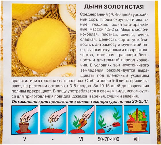 Дыня СеДек Золотистая ( ср.ранний, округл.-овальн., золот.-оранж., оч.сладк, 1,5-2 кг.). Евро, 0,5 14650