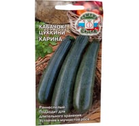 Кабачок СеДек Карина (цилиндрич, темно-зеленый, обильное плодонош). Евро, 2 15128