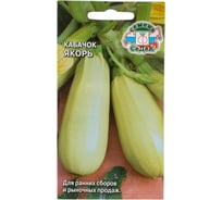 Кабачок СеДек Якорь (цилиндрич, светло-желтый, высокая лежкость). Евро, 2 13884