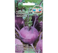 Капуста СеДек Виолета (КОЛЬ) (поздн.спел.,окр.-плоск.,1,5-2 кг). Евро, 1 16031